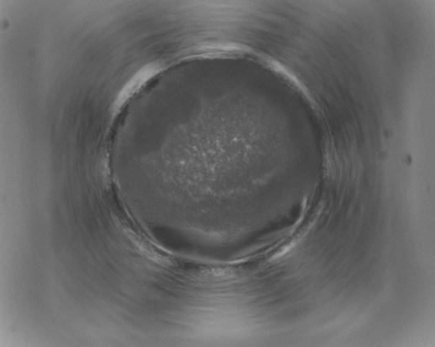 X0000076271362200610122245