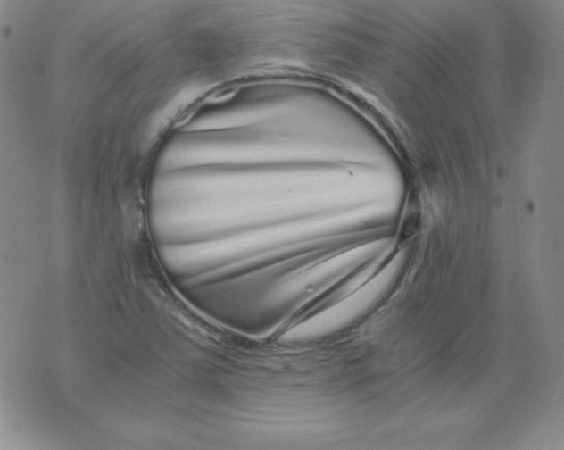 X0000076271363200610122245