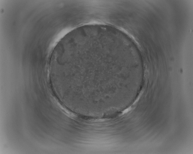 X0000076271367200610122244