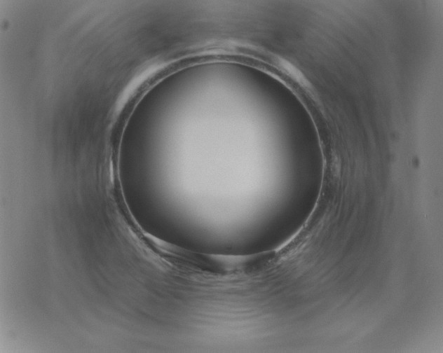 X0000076271368200610122244