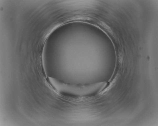 X0000076271369200610122244