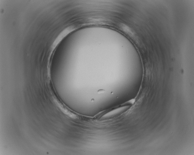 X0000076271370200610122244