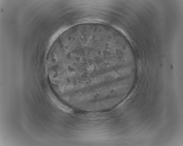 X0000076271371200610122244