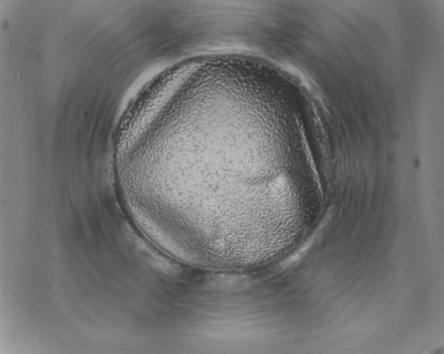 X0000076271374200610122244