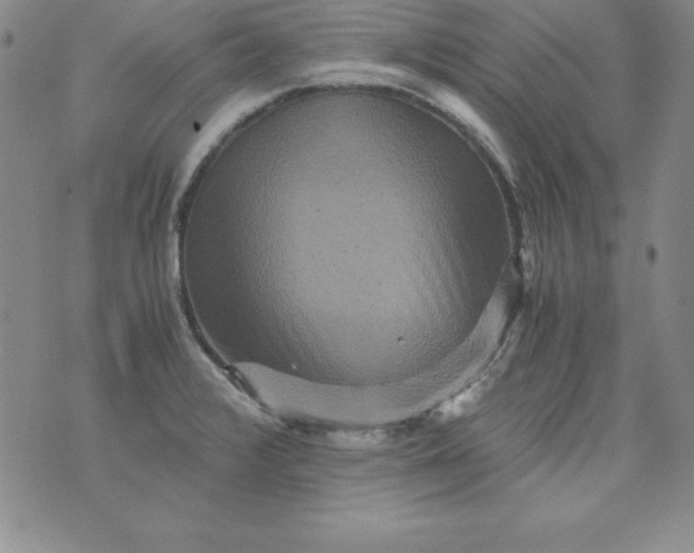 X0000076271376200610122244