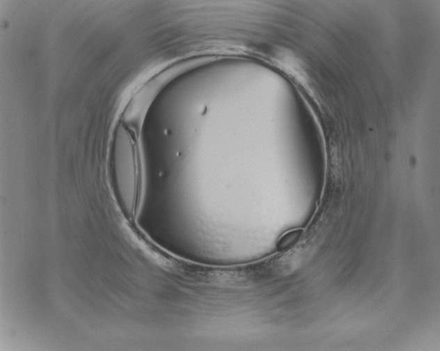 X0000076271379200610122244