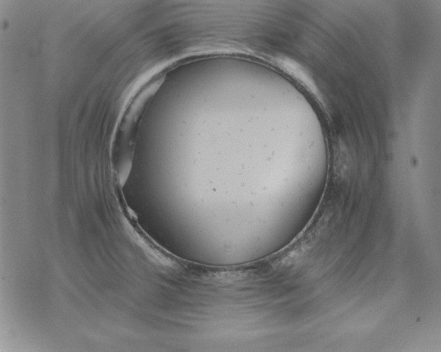 X0000076271380200610122244