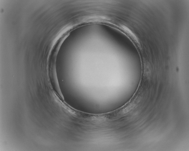 X0000076271384200610122244