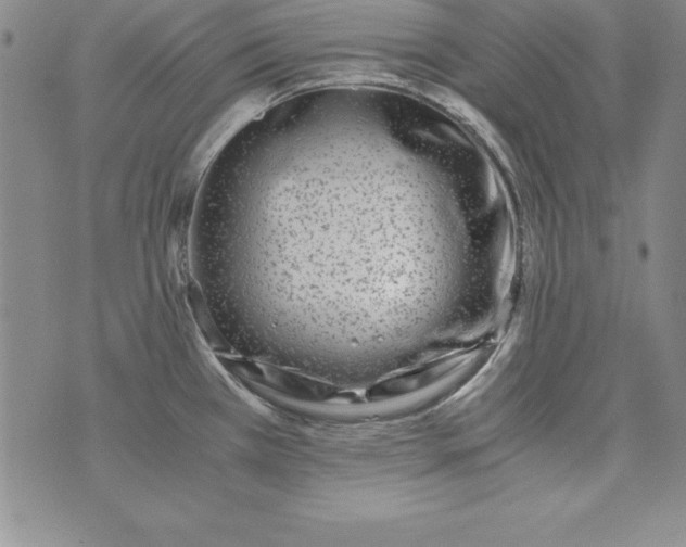 X0000076271385200610122244