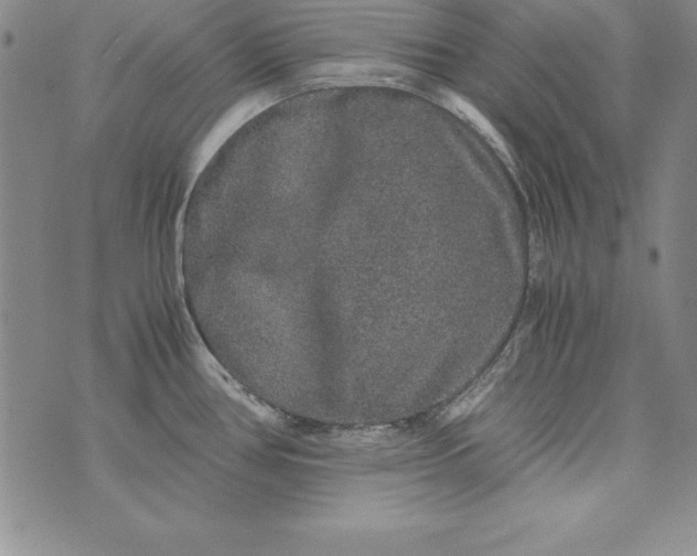 X0000076271386200610122244