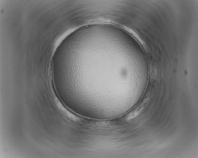 X0000076271387200610122244