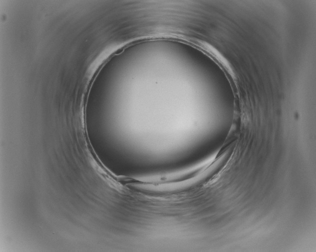 X0000076271388200610122244