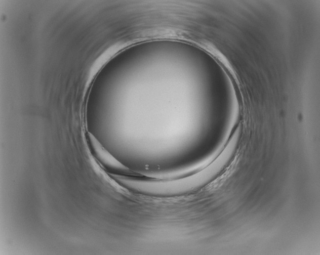 X0000076271389200610122244