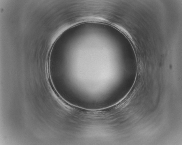 X0000076271391200610122244