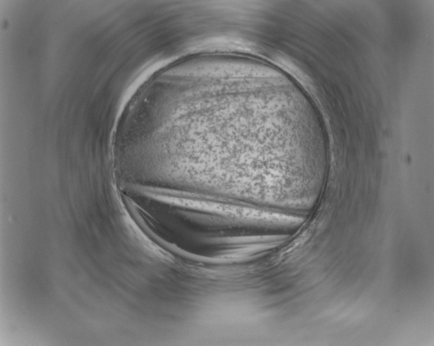 X0000076271392200610122244