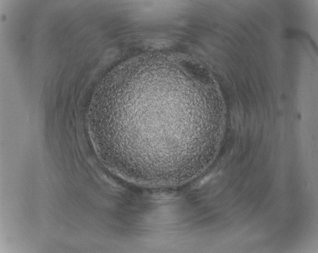 X0000076271393200610122243