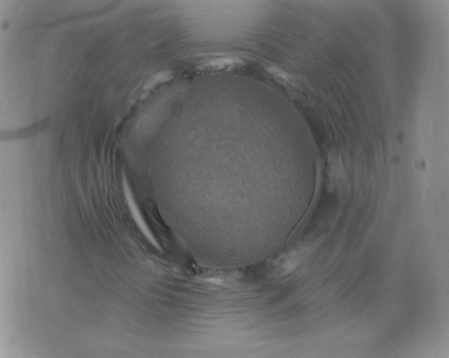 X0000076271394200610122243