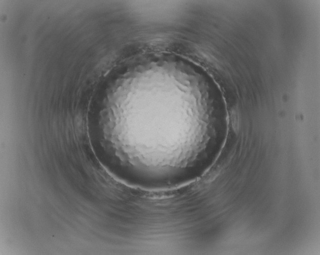 X0000076271395200610122243