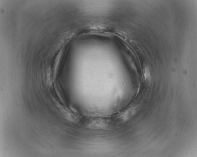 X0000076271396200610122243