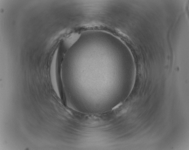 X0000076271398200610122243