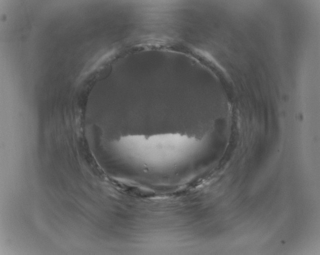 X0000076271399200610122243