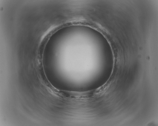 X0000076271400200610122243