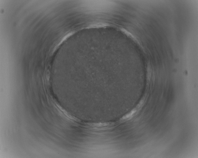 X0000076271401200610122243