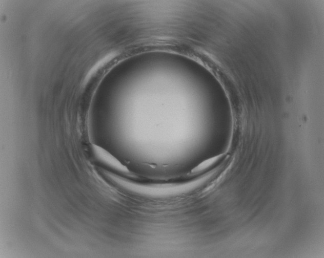 X0000076271402200610122243