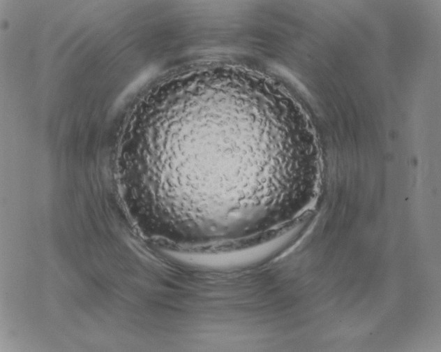 X0000076271403200610122243