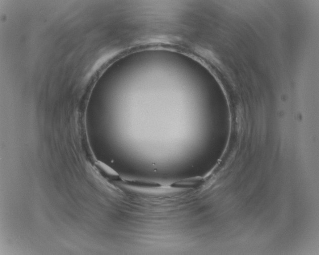 X0000076271404200610122243