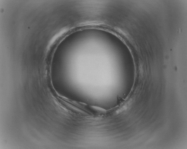 X0000076271406200610122243