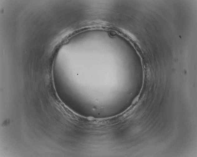 X0000076271407200610122243