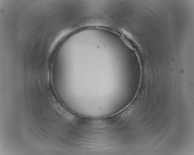 X0000076271408200610122244