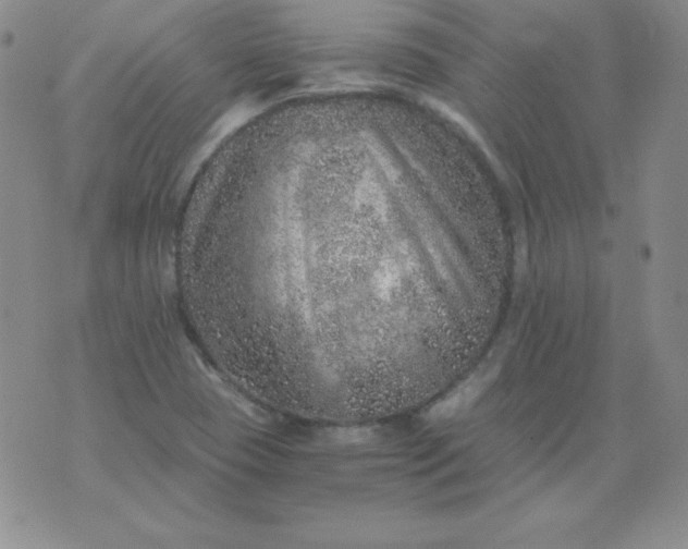 X0000076271409200610122244