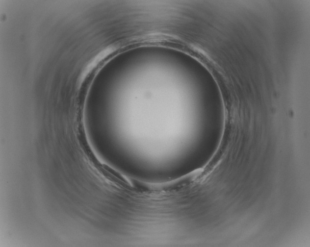 X0000076271410200610122244