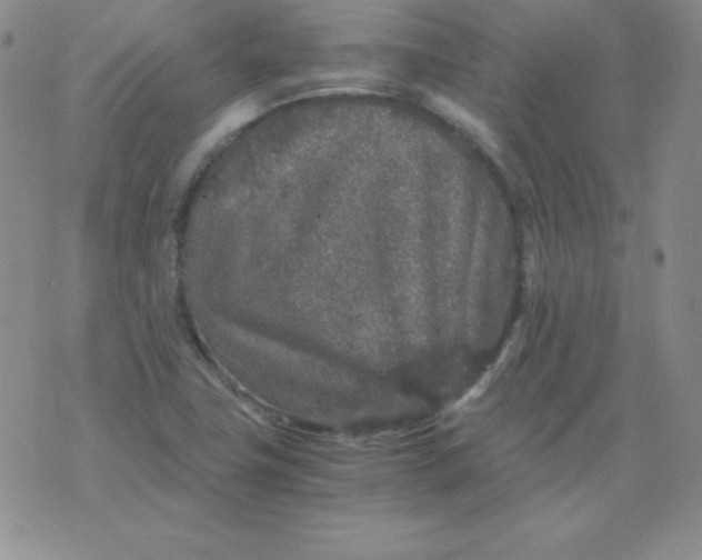 X0000076271411200610122244