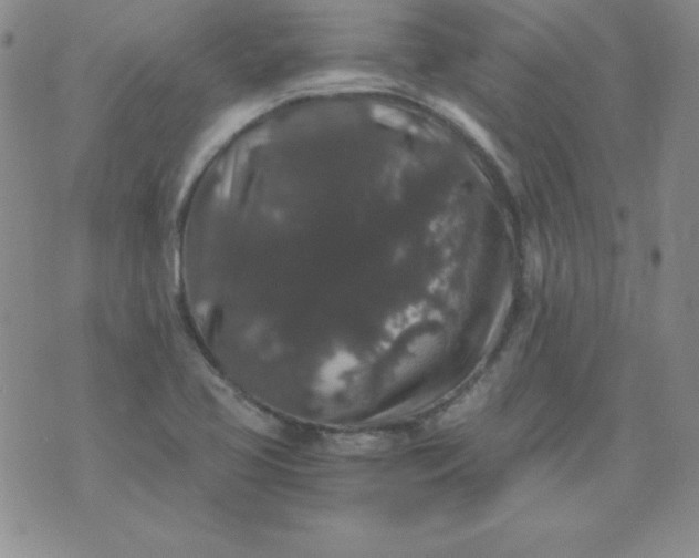 X0000076271413200610122244