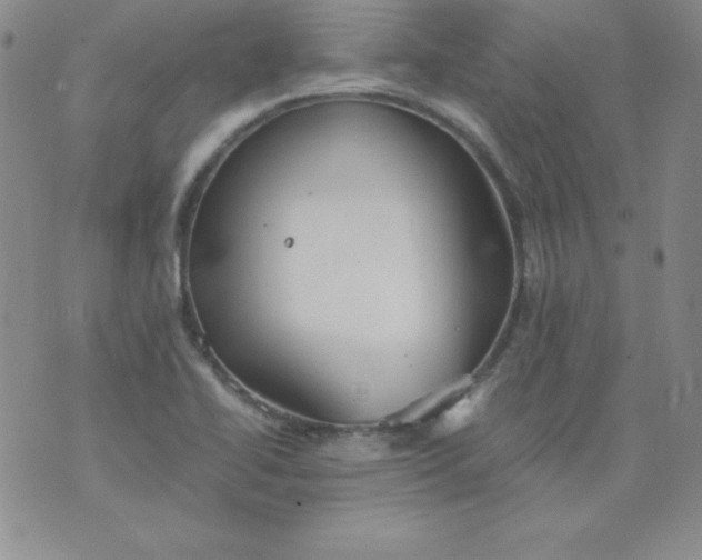 X0000076271414200610122244