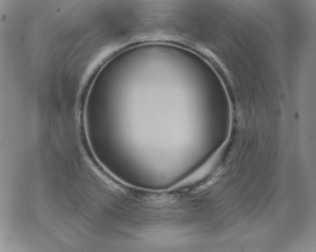 X0000076271416200610122244