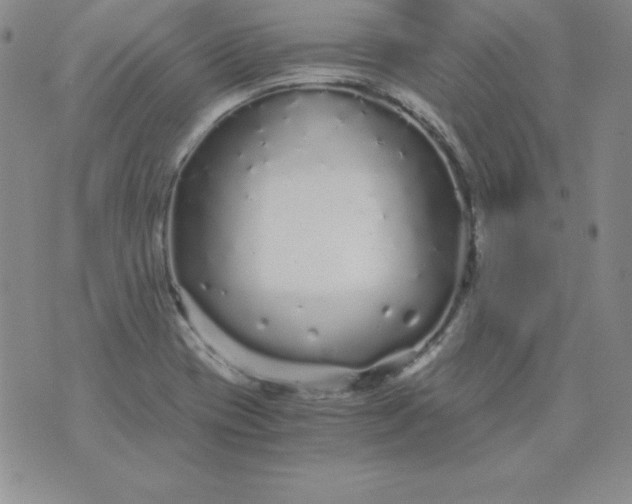 X0000076271417200610122244