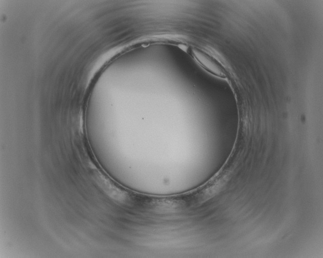 X0000076271420200610122244