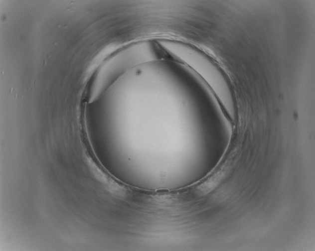 X0000076271422200610122244