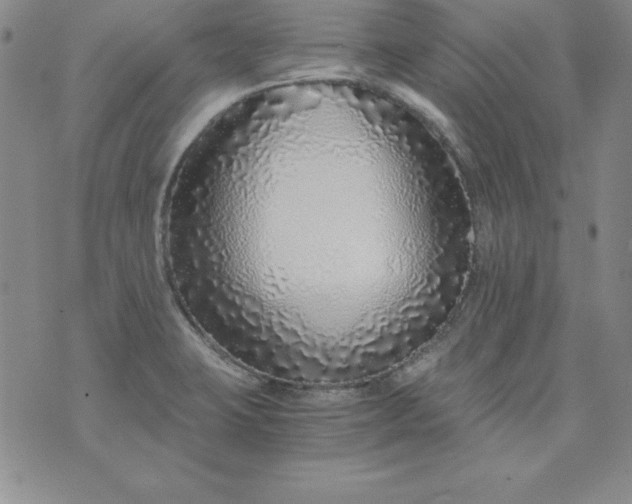 X0000076271423200610122244