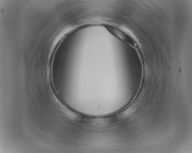 X0000076271424200610122244