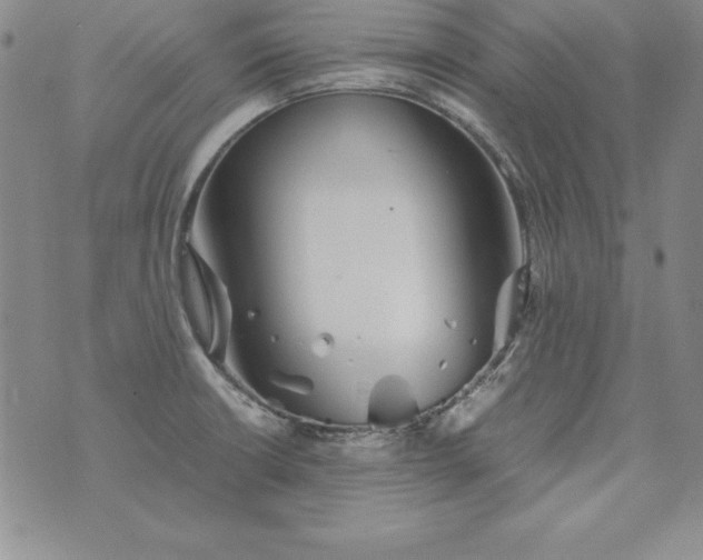 X0000076271426200610122244