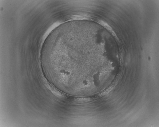 X0000076271427200610122244