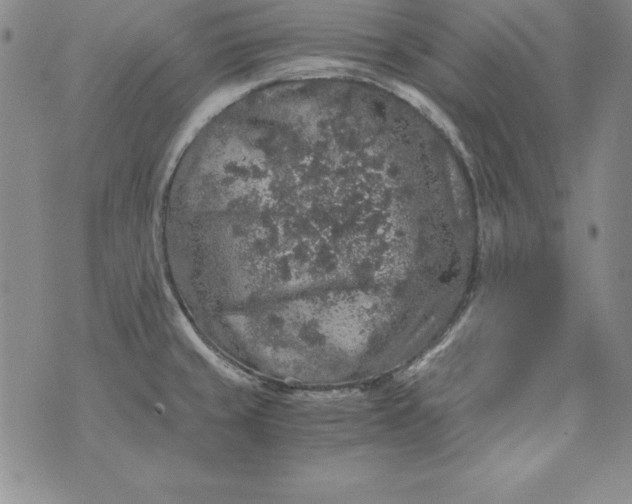 X0000076271429200610122244