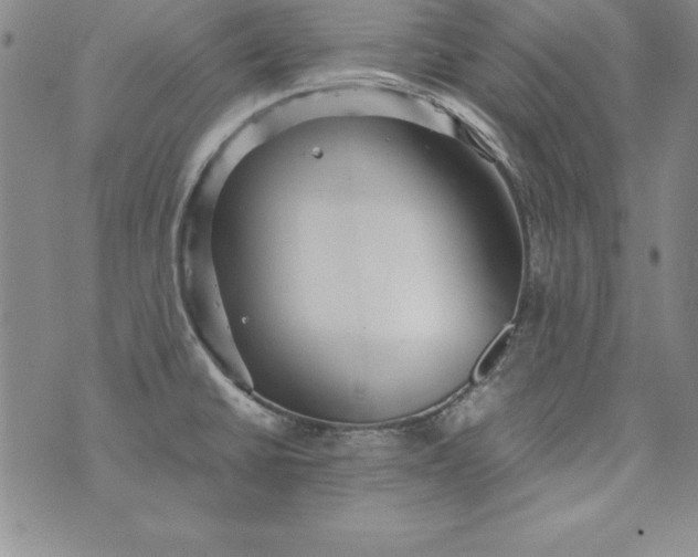 X0000076271430200610122244