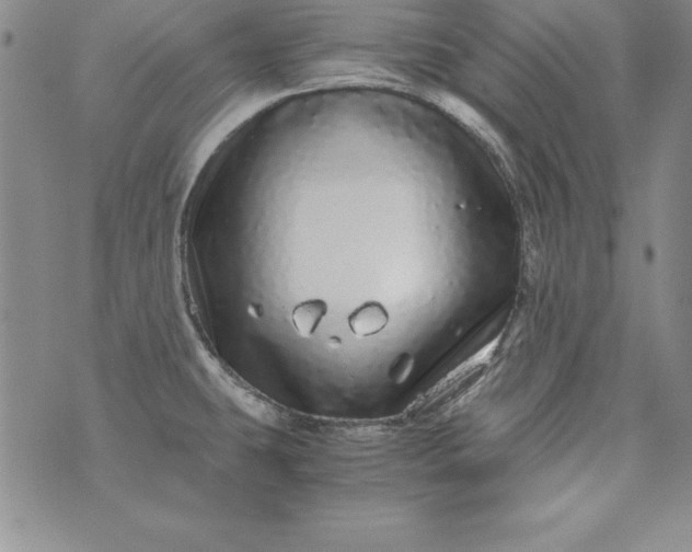 X0000076271431200610122244