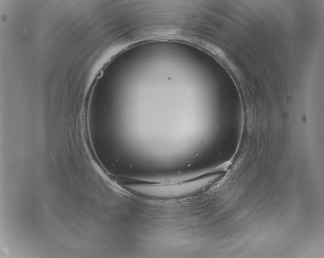 X0000076271432200610122244